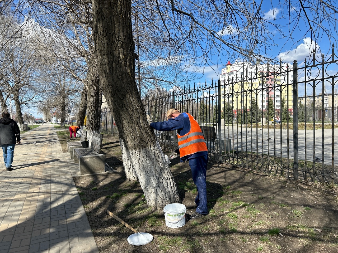 Коммунальщики проводят работы по побелке деревьев..