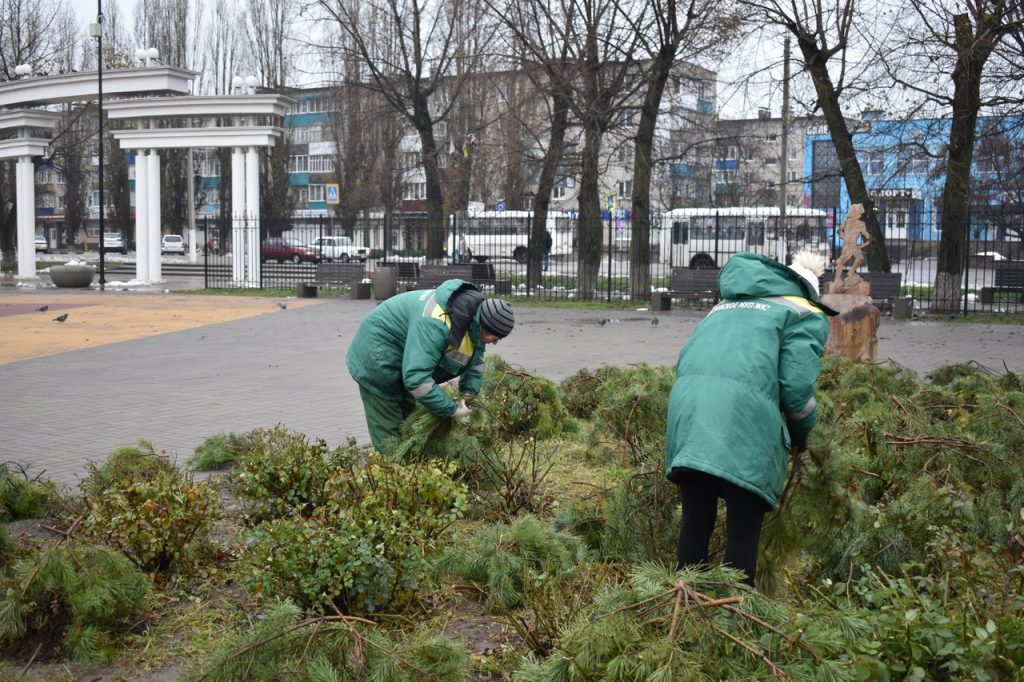 МУП ЖКХ укрыли на зиму розарии на территории городских общественных пространств.