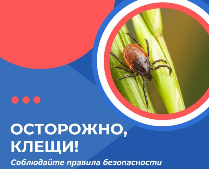 Клещи открыли сезон охоты: как не стать пострадавшим?. Клещи открыли сезон охоты: как не стать пострадавшим?.